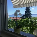 Bokula * Novi Vinodolski
