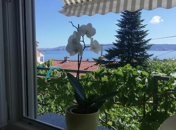 Bokula * Novi Vinodolski