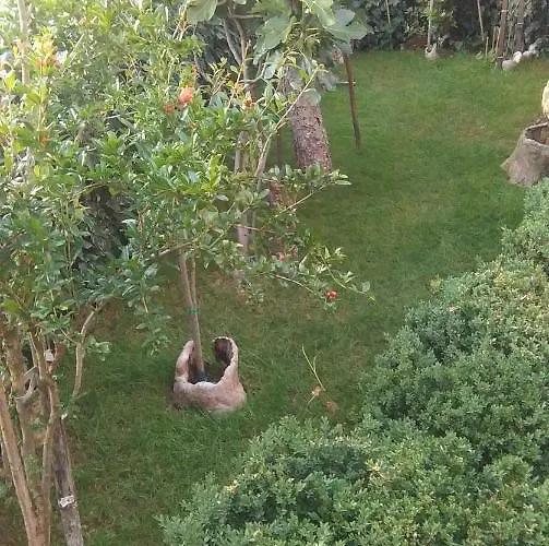 Bokula * Novi Vinodolski