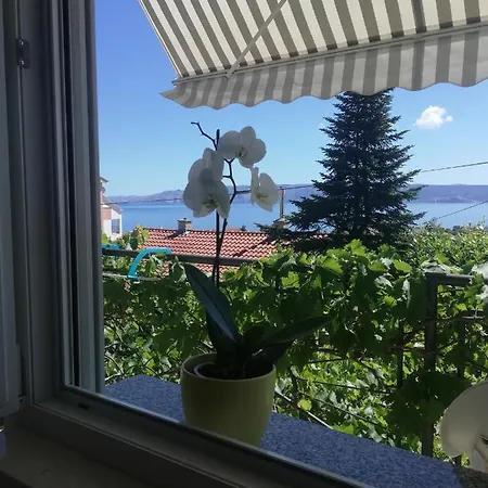 Bokula * Novi Vinodolski