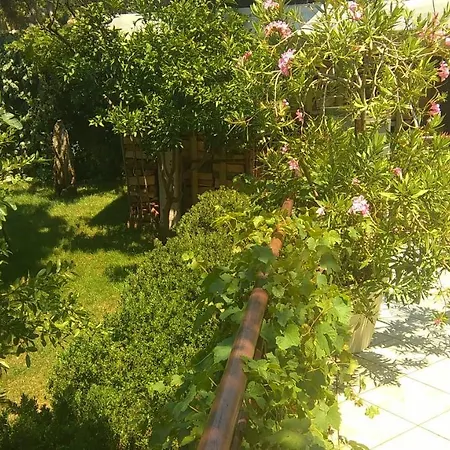 Bokula Apartamento *